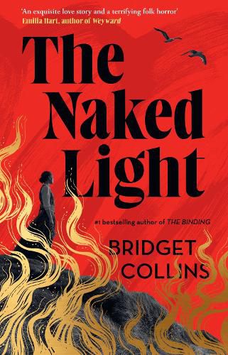 Cover image for The Naked Light