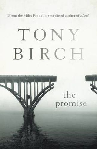 Cover image for The Promise