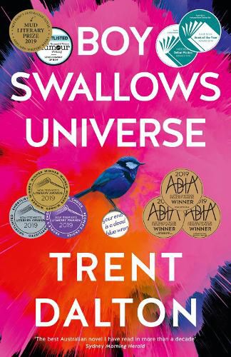 Cover image for Boy Swallows Universe