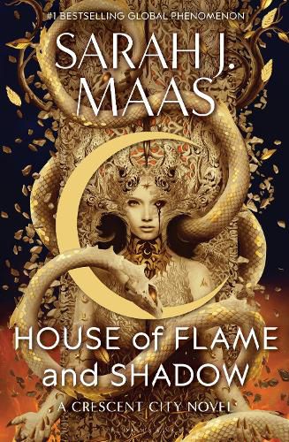 Cover image for House of Flame and Shadow