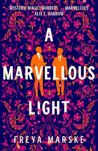 Cover image for A Marvellous Light