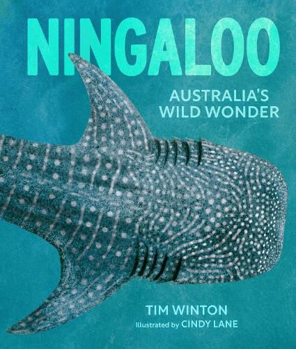 Cover image for Ningaloo: Australia's Wild Wonder