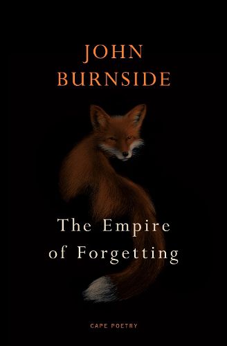 Cover image for The Empire of Forgetting