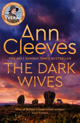 Cover image for The Dark Wives