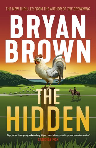 Cover image for The Hidden