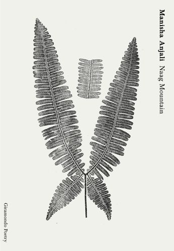 Cover image for Naag Mountain