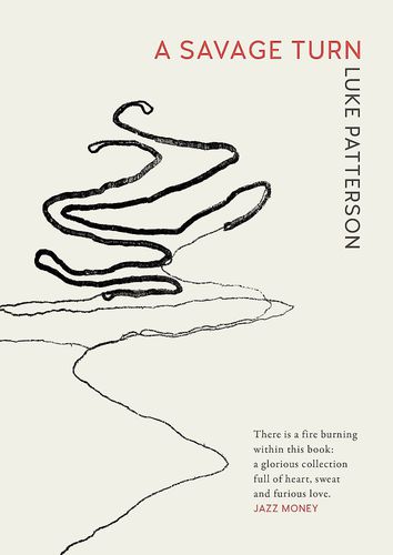 Cover image for A Savage Turn